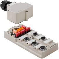 Weidmüller SAI-4-SVV-GM-RM-M12 2495280000 Passieve sensor/actorbox M12-verdeler met metalen schroefdraad 1 stuk(s) - thumbnail