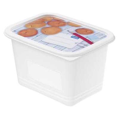 Rotho Domino Diepvriesdozen Etiket Decor 4x1L Wit