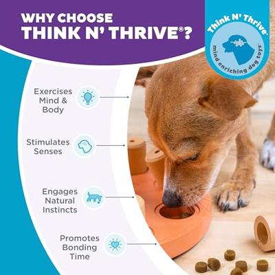 Nina ottosson dog smart composiet 23x23x6 cm Nina ottosson dog smart composiet 23x23x6 cm