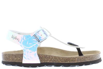 Kipling Ryca 1 silver Zilver 