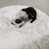 Nohr Rond Vloerkleed 'Kitrina' 200cm, kleur Wit - thumbnail