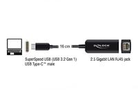 Delock USB 2.0 Adapter [1x USB-C stekker - 1x RJ45-bus] 66645 0.16 m - thumbnail