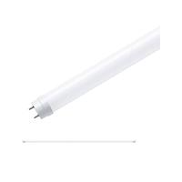 Paulmann LED-buis-Buis Energielabel: F (A - G) G13 22 W Daglichtwit 1 stuk(s) (Ø) 28 mm - thumbnail