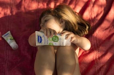 Vloeibare Zeep Dr Bronner's Hemp Tea Tree 945 ml