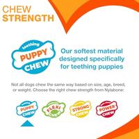Nylabone kauwbot puppy chew bone souper Gebr. de Boon - Gebr de boon - thumbnail