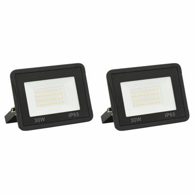 VidaXL Spotlights 2 st led 30 w koudwit