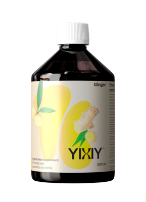YIXIY Vloeibare Postbiotica Gember Bio