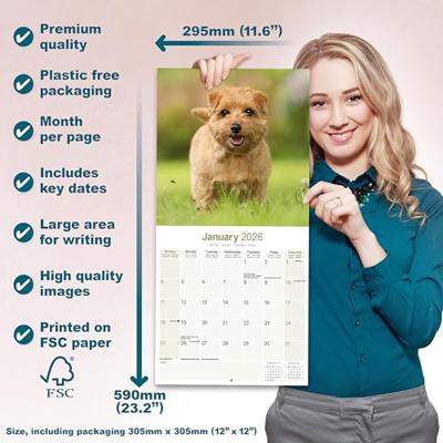 Norwich en Norfolk Terrier Kalender 2026 Norwich en Norfolk Terrier Kalender 2026