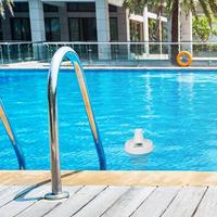 BRESSER Spa- en zwembadthermometer - thumbnail