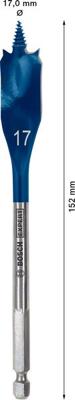 Bosch Accessories 2608900316 Hout-freesboor 1 stuks 17 mm Gezamenlijke lengte 152 mm Zeskant schacht 1 stuk(s)