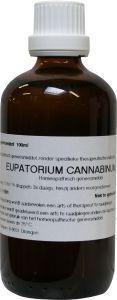Eupatorium cannabinum D6 100 Milliliter Eupatorium cannabinum D6 100 Milliliter