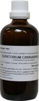 Eupatorium cannabinum D6 100 Milliliter - thumbnail
