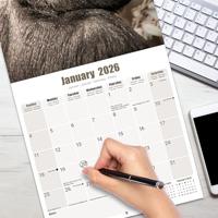 Apen Kalender 2026 - thumbnail