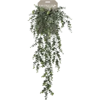 Zijdeplant Hangplant op steker Eucalyptus kunstplant Driesprong Collection - Driesprong collection - thumbnail