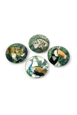 Trendform Magnet Eye - Royal Garden - set van 4 verschillende Trendform Magnet Eye - Royal Garden - set van 4 verschillende