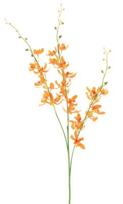 Chinese cymbidium spray orange 95cm