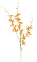 Chinese cymbidium spray orange 95cm - thumbnail
