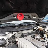 CON:P Magnetische Kom 15Cm Abs 1L - B28909 - thumbnail