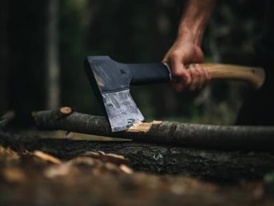 Fiskars Norden hakbijl N10 - 1051143 - 1051143 - thumbnail