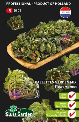 Kalettes garden mix flowersprout zaden