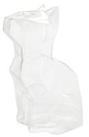 Kat Vaas - Groot/Transparant - thumbnail