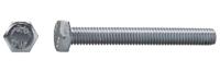 Dresselhaus zeskantbout 6-kt-screw,threaded head dresselh.m10x30mm galvani - thumbnail