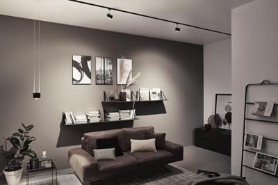 Paulmann URail Pendel Aldan LED-hanglamp URail 13 W LED Zwart (mat) Paulmann URail Pendel Aldan LED-hanglamp URail 13 W LED Zwart (mat)