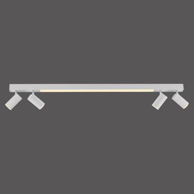 Paul Neuhaus Plafond opbouwspotPure Lines Spot 110cm - wit - 6121-16