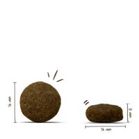 Bosch Special Light hondenvoer 12,5 kg - thumbnail