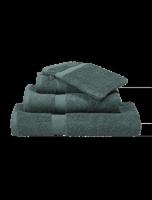 Vandyck Vandyck Prestige Plain washandje 16x22 Forest Green - thumbnail