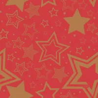 Duni 3-laags tissue servet holiday star 33x33cm rood 20 stuks - thumbnail