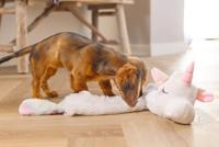 Beeztees Puppy flatino unicorn lo wit 74cm - thumbnail