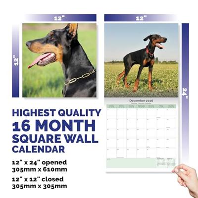 Dobermann Kalender 2026 Dobermann Kalender 2026