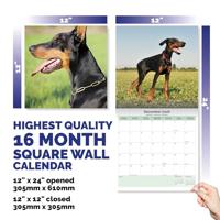 Dobermann Kalender 2026 - thumbnail