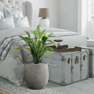 Calathea kunstplant 60cm - groen Calathea kunstplant 60cm - groen