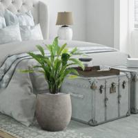 Calathea kunstplant 60cm - groen - thumbnail