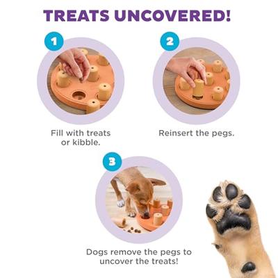 Nina Ottosson Hondendenkspel dog smart composite