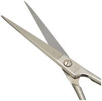 C.K Extra scherpe kappersschaar, spits met pinksteun, 180 mm lengte C8080 - thumbnail