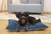 KERBL - Omkeerbaar vloermatras S - 45 x 70 cm - ELY kussen - Grijs/petrol - thumbnail