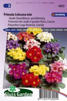 Primula Veris zaden Colossea Mix sleutelbloem - thumbnail