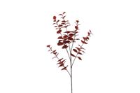 Countryfield eucalyptus cin 94 cm rood - thumbnail