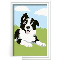 Ravensburger creart serie F border collie - thumbnail