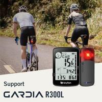 BRYTON Rider 17 e - thumbnail