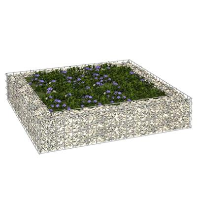 VidaXL Gabion plantenbak verhoogd 100x100x20 cm gegalvaniseerd staal VidaXL Gabion plantenbak verhoogd 100x100x20 cm gegalvaniseerd staal