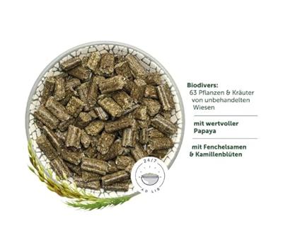 Bunny KonijnenDroom Vitality | 1,5 kg | Complete voeding voor dwergkonijnen vanaf de 6e levensmaand | 63 Verschillende planten en kruiden van onbehandelde weiden | 3-vezel-mix
