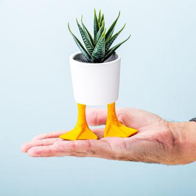 Bloempot met eendenpoten - Klein