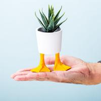 Bloempot met eendenpoten - Klein - thumbnail