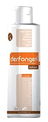 Derfen Derfongen