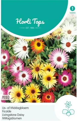 Zaden Dorotheanthus IJs- of Middagbloem gemengd Hortitops - Hortitops