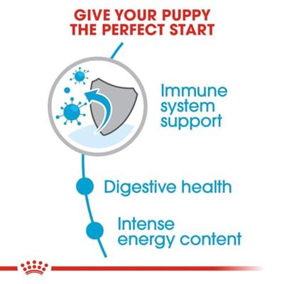Royal Canin mini voer voor puppy 2kg - thumbnail